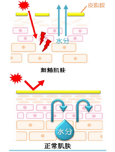 未标题-6.jpg 未标题-6.jpg