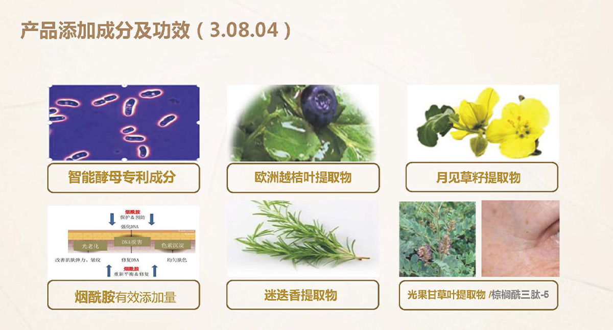 未标题-1.jpg